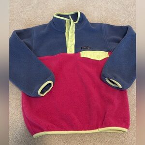 Patagonia Kids Fleece Snap Pullover